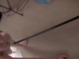 Piss perek lily is collared and leashed